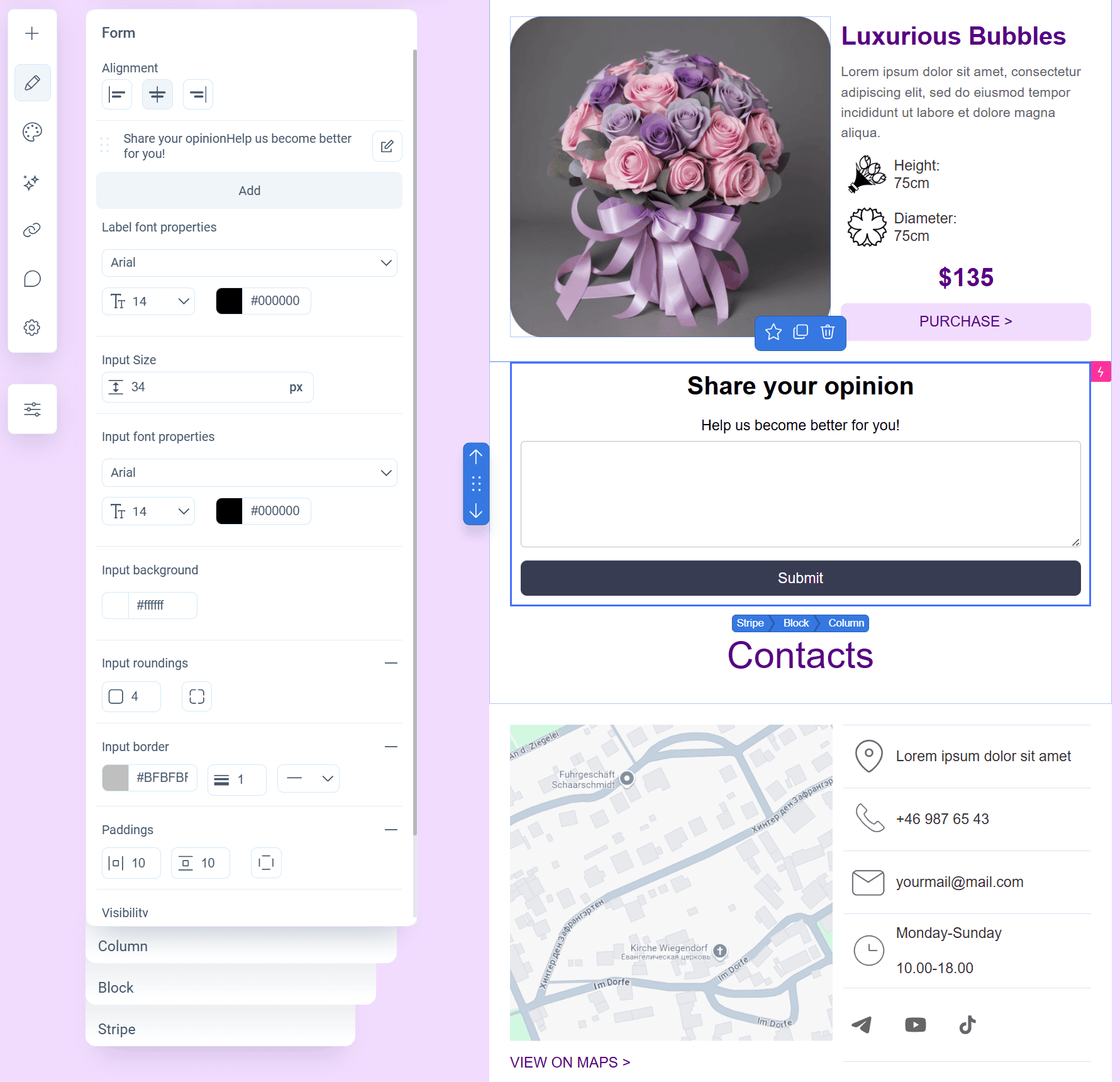 AMP Form in Pixcraft