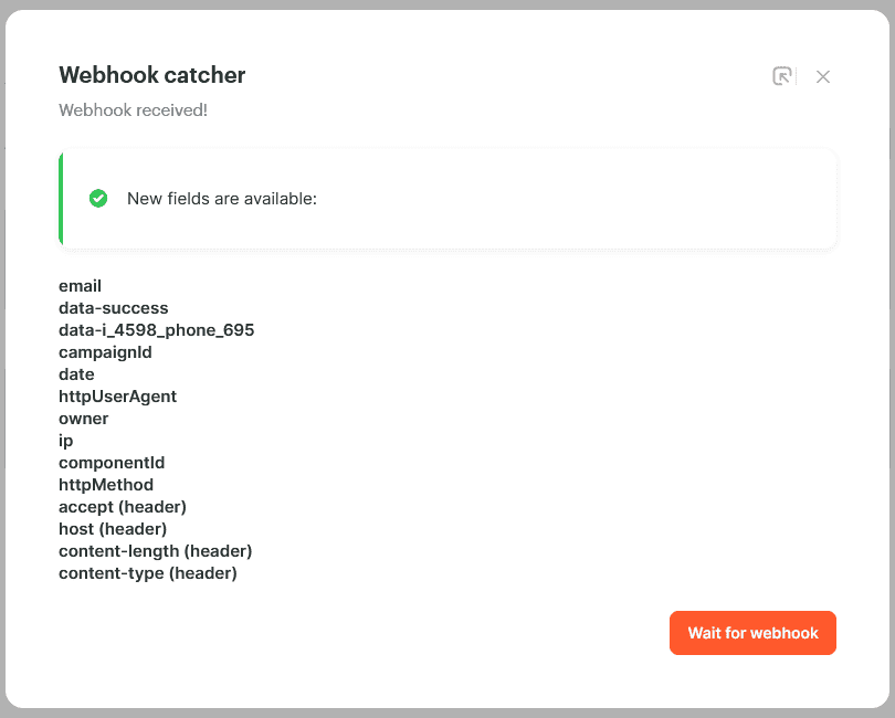 Webhook catcher